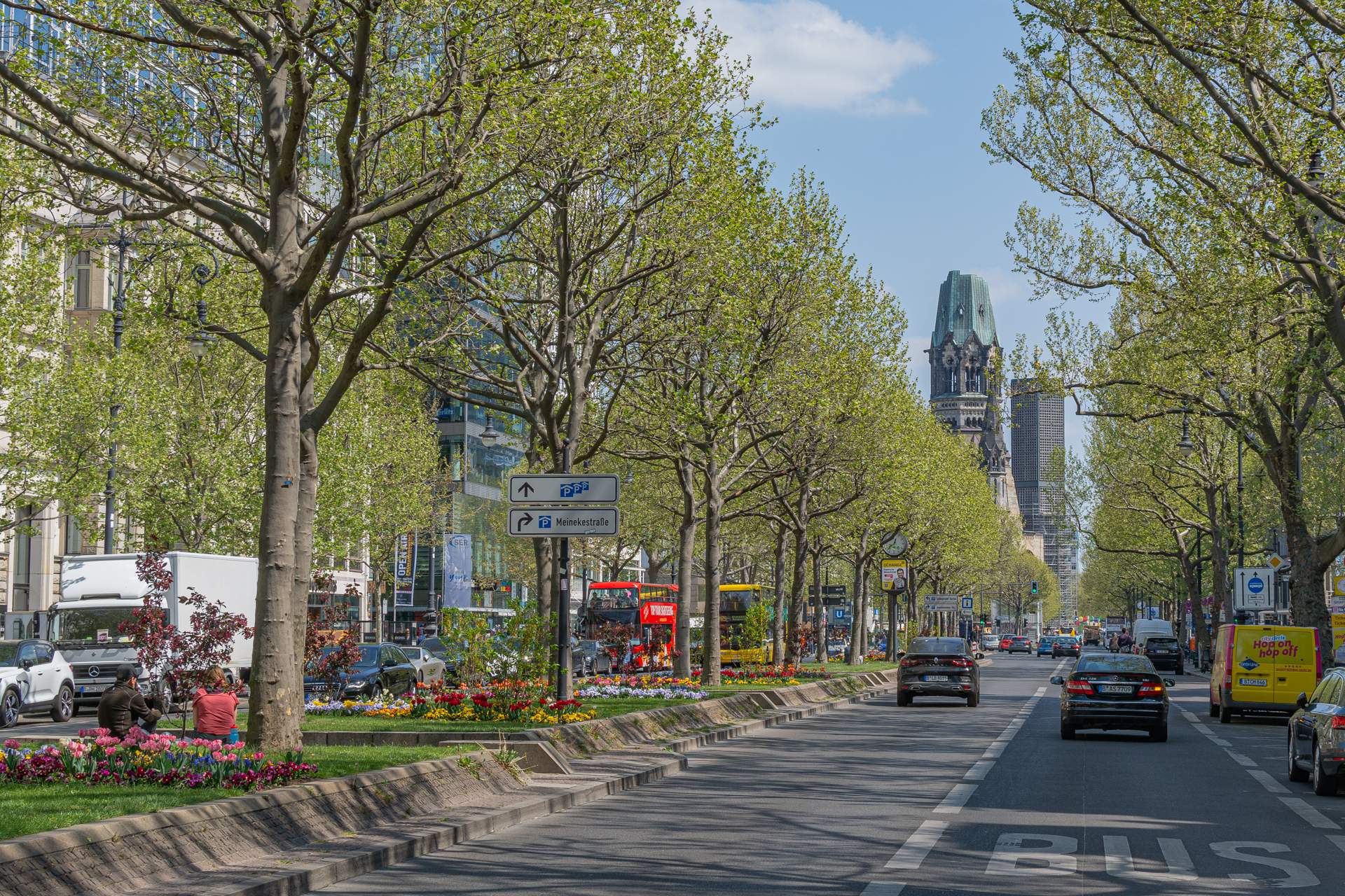 Kurfürstendamm tulpen