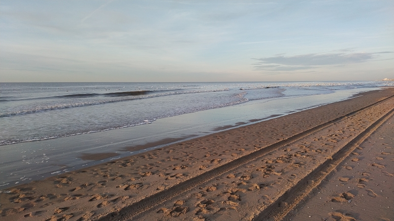 Strandlijnen