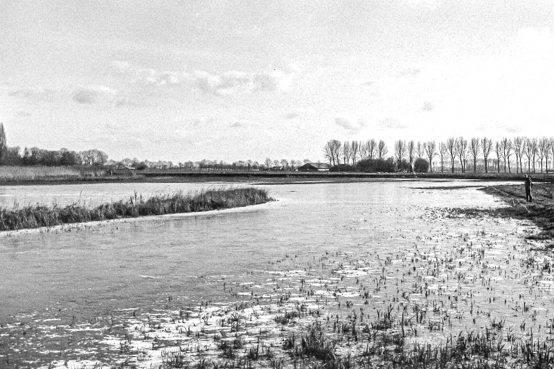 Winterwandeling langs de Linge